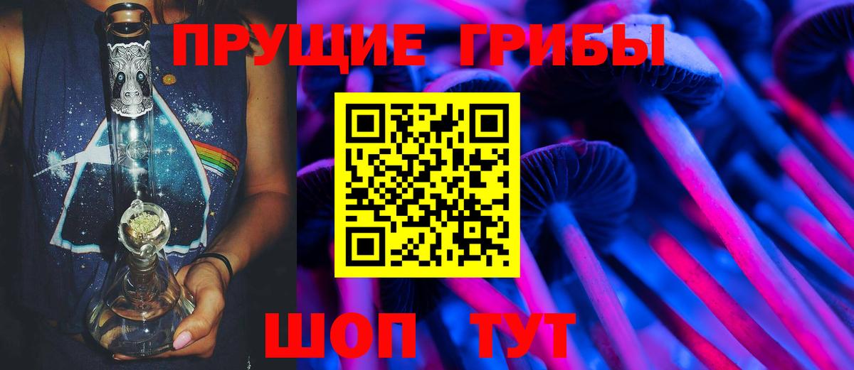 Псилоцибиновые грибы мухоморы  где можно купить наркотик  Канаш  Вход с VPN  Галлюциногенные грибы мицелий 