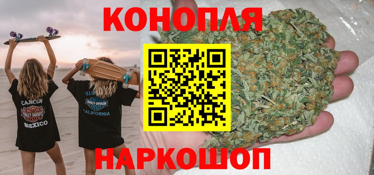 Канаш  Бошки марихуана планчик  Шишки марихуана конопля  Вход с VPN 